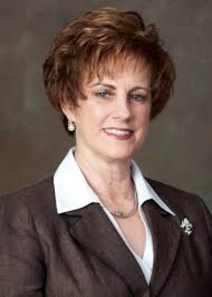 Debbie Meaux of Vermilion Parish serves as president of the Louisiana Association of Educators. 